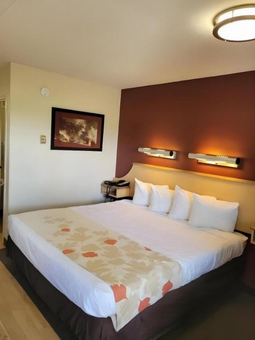 Red Oak Inn Southfield image 12